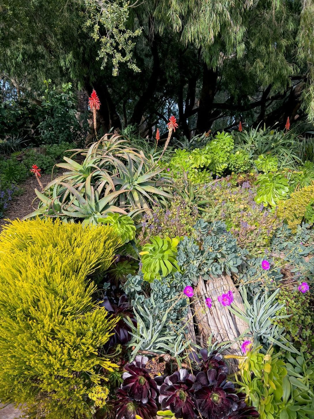 みどり庭園 15